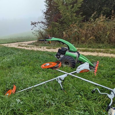 Landschaftspflege am Mindelsee