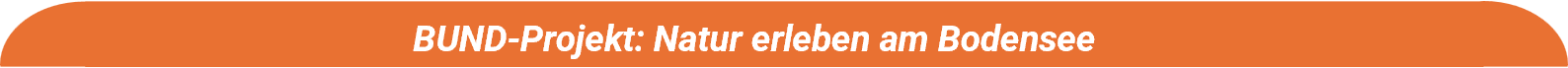 Segete Footer