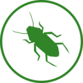 Käfer Icon