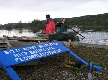 Brutfloß auf dem Mindelsee | 2005
