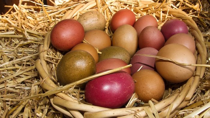 Eier in einem Korb aus Stroh.