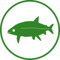 Fisch Icon