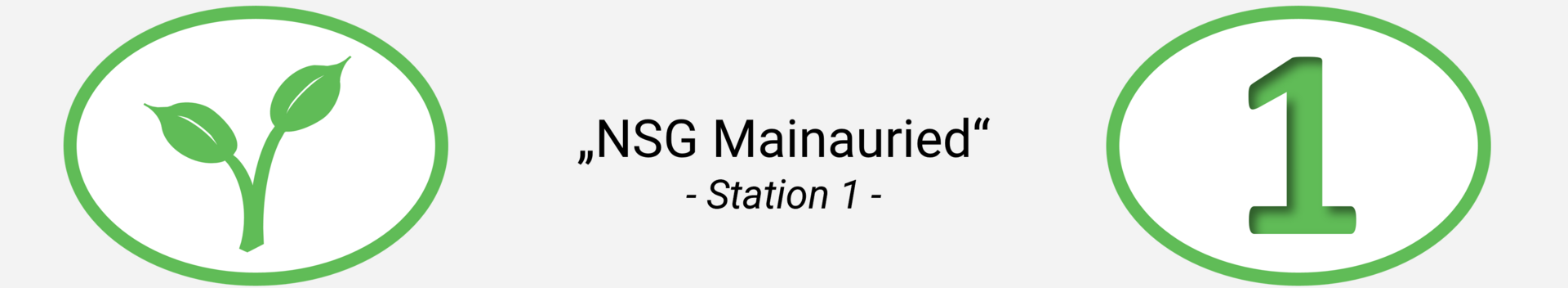 Station 1 Header: NSG Mainauried