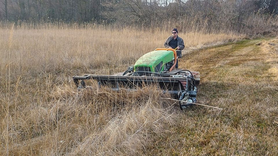 Nassmahd in Stehlwiesen