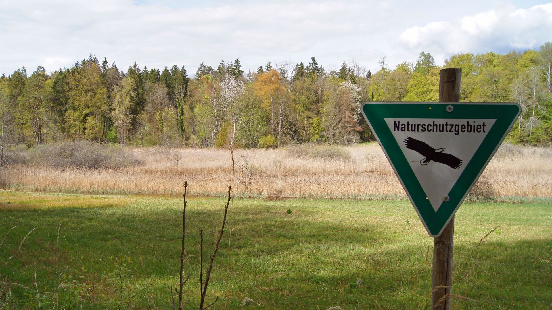 NSG Bussensee