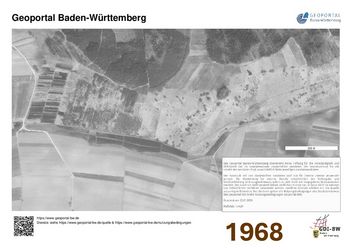 Luftbildaufnahme NSG Bruckried aus dem Jahr 1968
