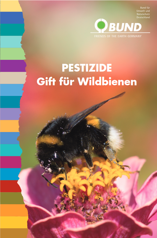 Eine Wildbiene saugt Necktar an einer rosafarbenen Blüte. Oben rechts BUND-Logo und mittig der Titel "Pesizide: Gift für Wildbienen."