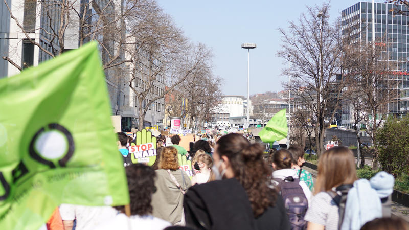 Blick auf eine große Menschenmenge, die mit BUND-Fahnen beim Klimastreik mitläuft.
