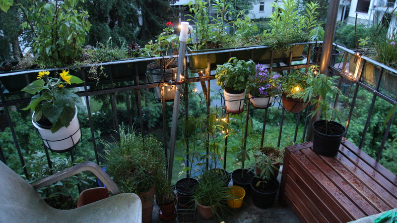 Ein Balkon voller Zierpflanzen und Kräutern.