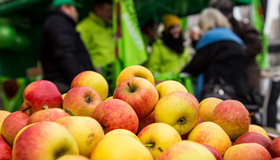 Aufgetürmte Äpfel vor BUND-Stan. Foto: Jörg Farys