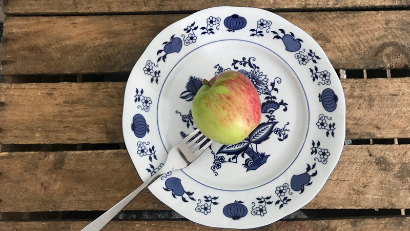 Ein rot-grüner Apfel liegt auf einem  weißen Teller mit blauem Zwiebelmuster.
