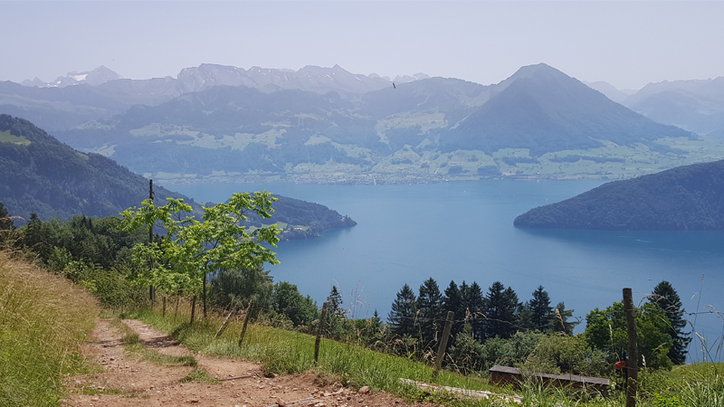 Atemberaubender Blick auf den Vierwaldstätter See in der Schweiz