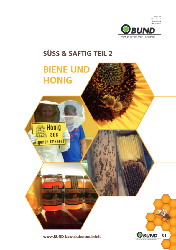 Cover: Süss & Saftig: Bienen